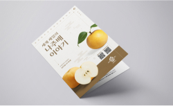 기업 카탈로그 디자인